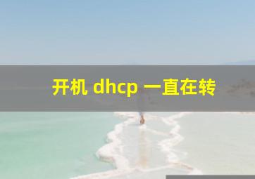 开机 dhcp 一直在转